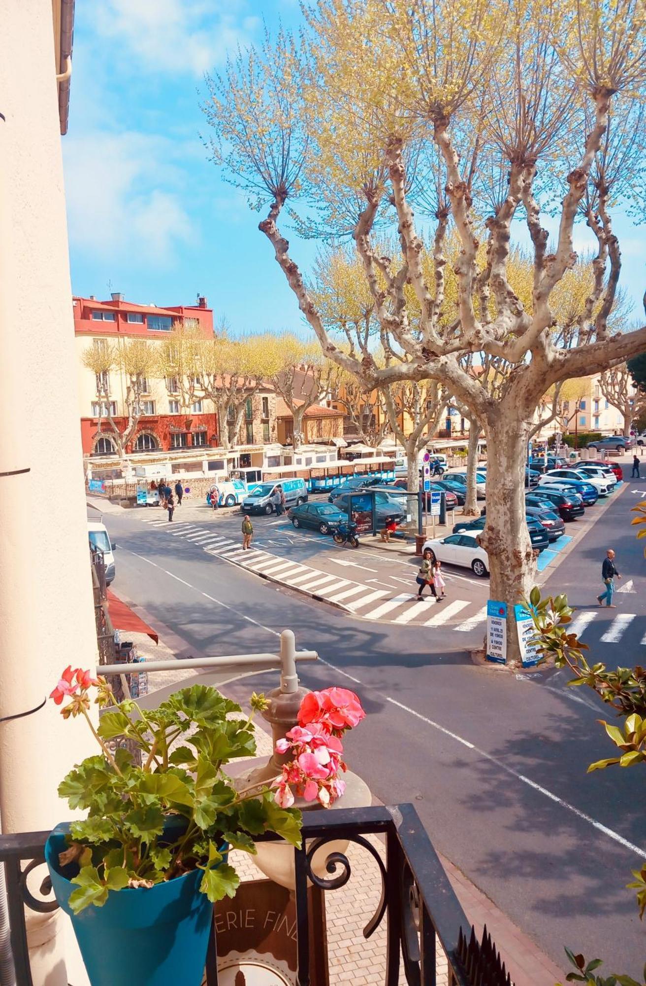 Chambres Rue De La Republique Collioure Zewnętrze zdjęcie